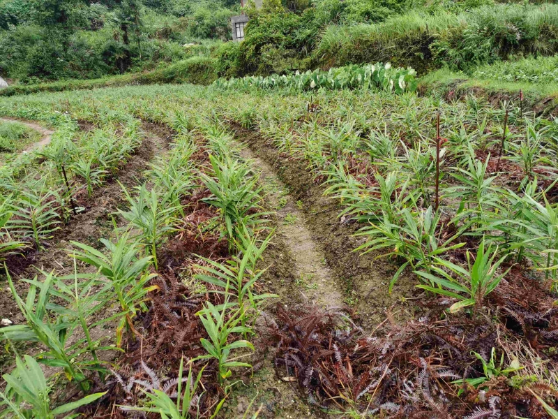 工作室资讯详情