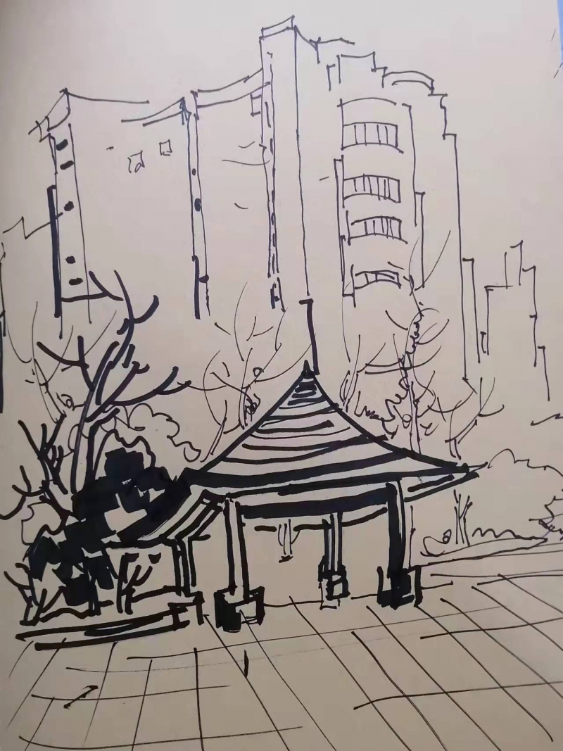 今天下午,去小区里画了三张速写,总觉得精力不足,匆忙完成今天的打卡