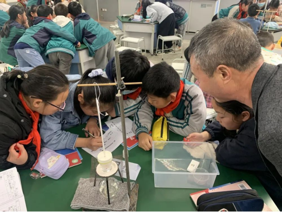 丽教研多维量化评改课先听后上共成长缙云县新建小学科学教研活动