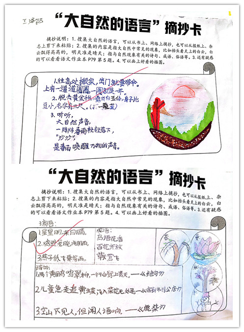 学生作品“大自然的语言”图文卡1.png