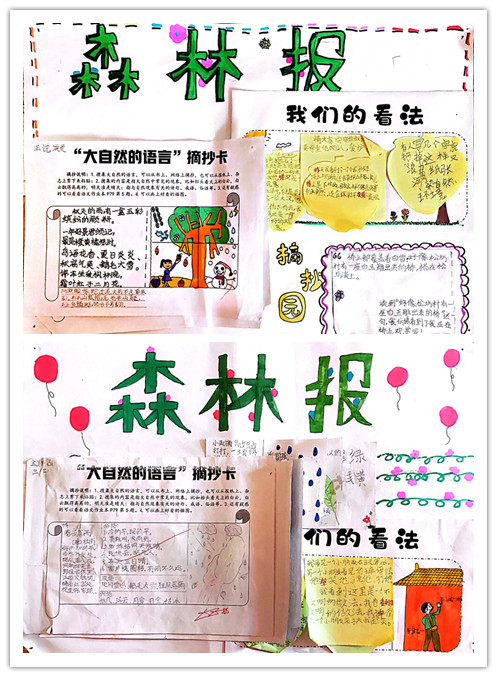 学生作品“森林报”2.png